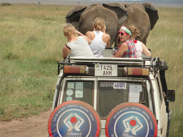 Group of students on a safari driving by a herd of elephants